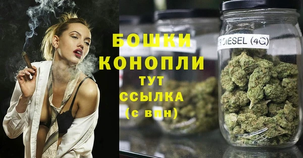 МДПВ Алексеевка